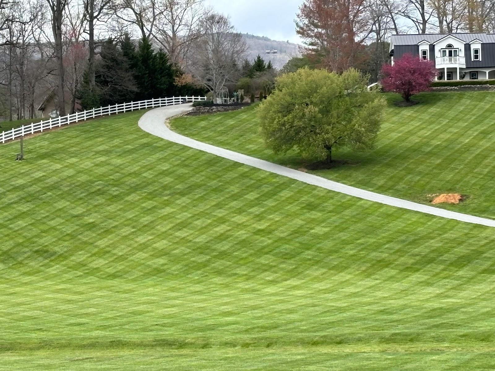 A wide, freshly striped lawn sloping beside a curving drive and a white rail fence, with a house on the hill beyond