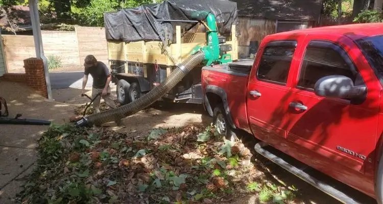 Crew member clears fallen leaves with a blower into a vacuum hose attached to a loaded debris trailer