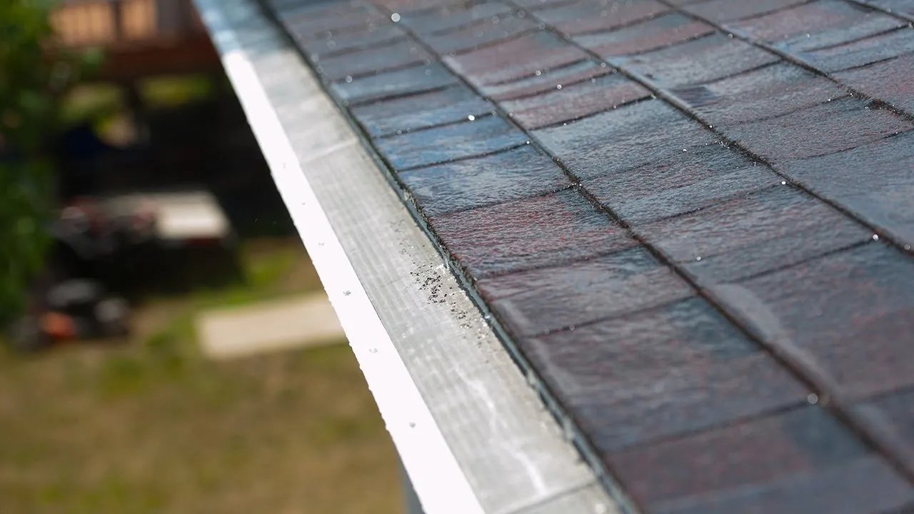 Close-up of a gutter guard running along the edge of a shingled roof