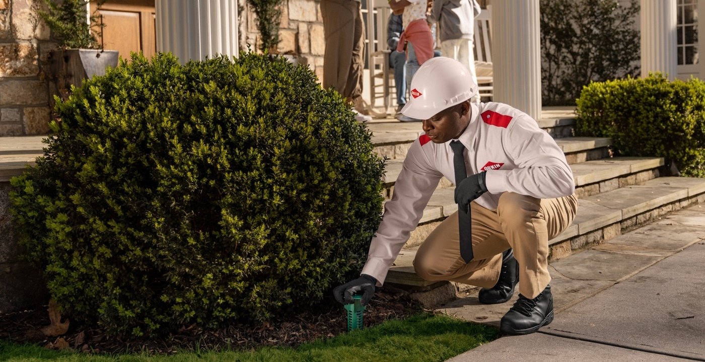 Orkin technician in white hard hat and uniform crouching beside a boxwood shrub to service a pest control device