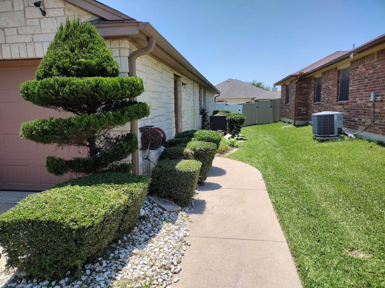 Squared-off shrubs and a tiered topiary along a concrete walkway beside a stone house, with a mowed lawn on the right