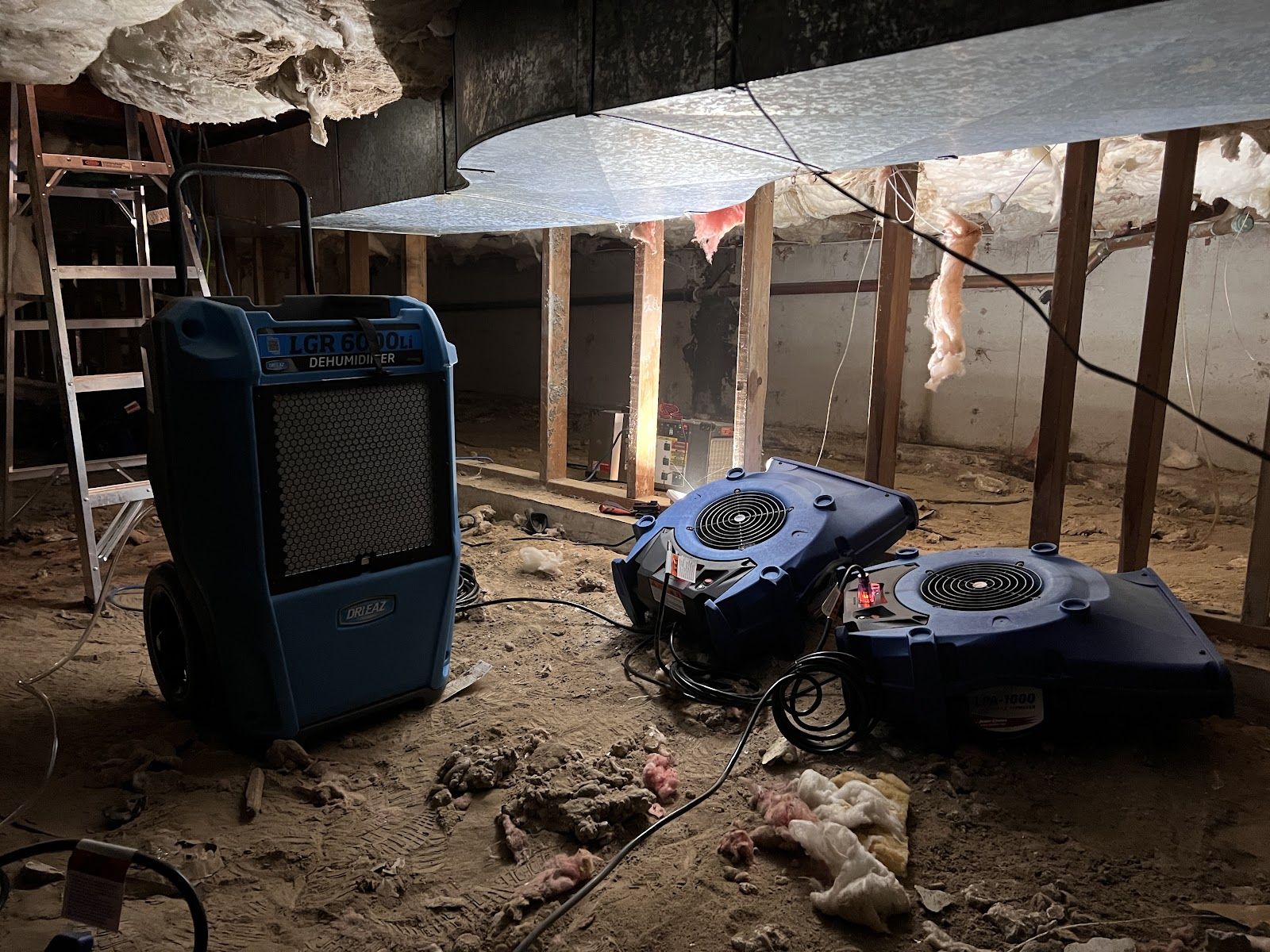 A blue dehumidifier and two air movers running on the dirt floor beneath a house, with insulation hanging from the joists above