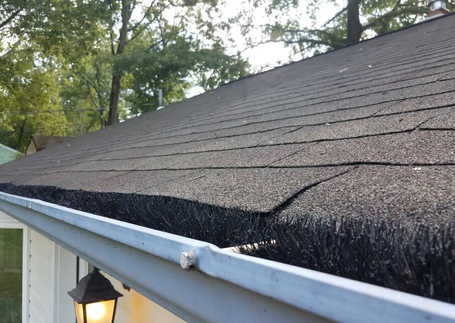 Shingle edge over a metal gutter fitted with black brush-style gutter guard, with a porch light below