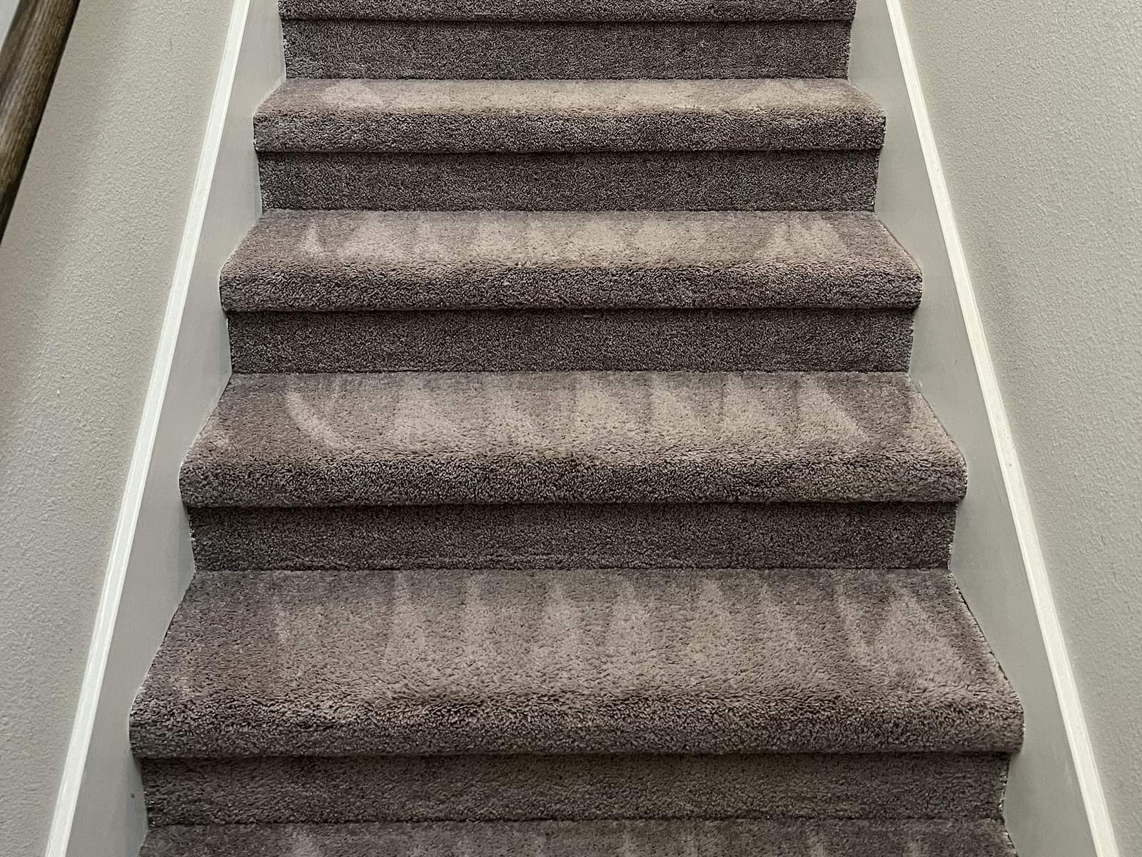 A carpeted staircase after cleaning, with wand marks still visible in the pile
